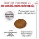 Royal Canin Hair&Skin Care karma sucha dla kotów dorosłych, lśniąca sierść i zdrowa skóra 400g