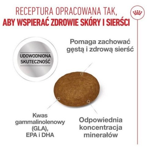 Royal Canin Hair&Skin Care karma sucha dla kotów dorosłych, lśniąca sierść i zdrowa skóra 400g