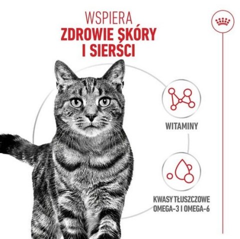 Royal Canin Hair&Skin Care karma sucha dla kotów dorosłych, lśniąca sierść i zdrowa skóra 400g