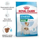 Royal Canin Mini Starter Mother&Babydog karma sucha dla szczeniąt do 2 miesiąca i suk karmiących ras małych 1kg