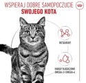 Royal Canin Hair & Skin Care w sosie karma mokra dla kotów dorosłych, zdrowa skóra, piękna sierść saszetka 85g