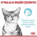 Royal Canin Sensory Feel w sosie karma mokra dla kotów dorosłych saszetka 85g