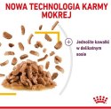 Royal Canin Sensory Taste w sosie karma mokra dla kotów dorosłych saszetka 85g