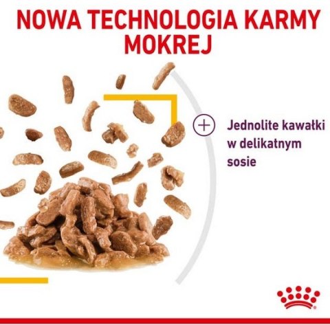 Royal Canin Sensory Taste w sosie karma mokra dla kotów dorosłych saszetka 85g