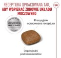 Royal Canin Urinary Care karma sucha dla kotów dorosłych, ochrona dolnych dróg moczowych 400g