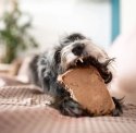 4DOGS Gryzak z korzenia drzewa wrzosowego XL