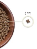 Acana Highest Protein Kitten 1,8kg