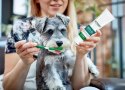 Vet's Best Dental żel + szczoteczka zestaw Adult