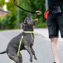 Dingo Zabawka dla psa - Szarpak Ringo z rączką bungee 10cm