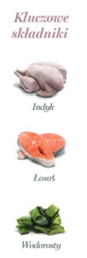 Amanova Cat Tasty Salmon & Turkey - łosoś i indyk saszetka 85g [P11]