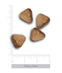 Amanova Dog Adult Mini Digestive Divine Rabbit - królik 800g