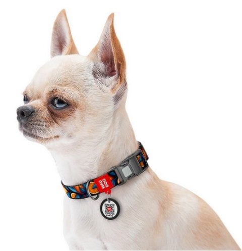 Collar WauDog Nylon Obroża nylonowa z QR-paszportem, plastikowy fastex, wzór POMARAŃCZE, 20mm/28-40cm