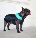 Chaba Ubranko regulowane Wear Magnifique 2XL zielone