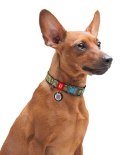 Collar WauDog Nylon Obroża nylonowa z QR-paszportem, plastikowy fastex, wzór MILITARY, M 20mm/28-40cm