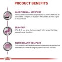 Royal Canin Veterinary Diet Canine Early Renal w sosie saszetka 100g