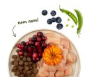 Sanabelle Adult Grande 2kg