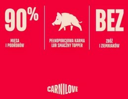 Carnilove Cat Wild Boar - dzik w sosie saszetka 85g
