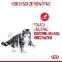 Royal Canin Urinary Care karma mokra w sosie dla kotów dorosłych, ochrona dolnych dróg moczowych saszetka 85g