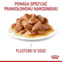 Royal Canin Urinary Care karma mokra w sosie dla kotów dorosłych, ochrona dolnych dróg moczowych saszetka 85g