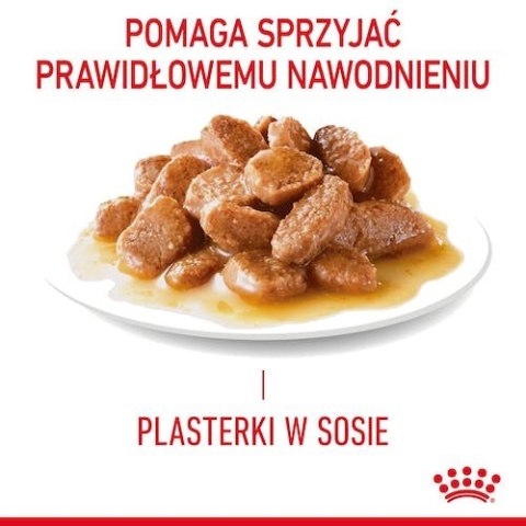 Royal Canin Urinary Care karma mokra w sosie dla kotów dorosłych, ochrona dolnych dróg moczowych saszetka 85g