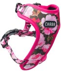 CHABA Szelki Guard Comfort bezuciskowe Story IV L Peony