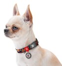 Collar WauDog Nylon Obroża nylonowa z QR-paszportem, plastikowy fastex, wzór ZĘBATE POTWORY, L 25mm/33-49cm