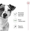 Royal Canin Mini Adult 8+ karma sucha dla psów starszych od 8 do 12 roku życia, ras małych 2kg
