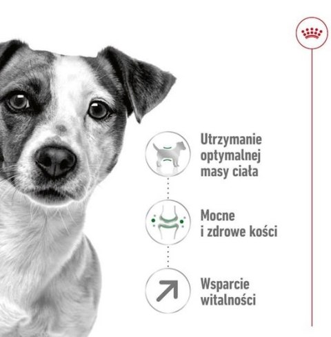 Royal Canin Mini Adult 8+ karma sucha dla psów starszych od 8 do 12 roku życia, ras małych 2kg