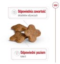 Royal Canin Mini Adult 8+ karma sucha dla psów starszych od 8 do 12 roku życia, ras małych 2kg