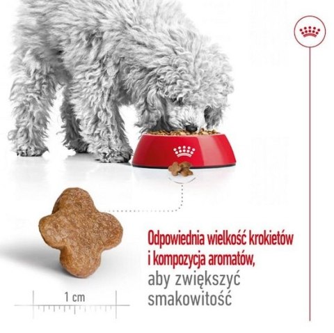 Royal Canin Mini Adult 8+ karma sucha dla psów starszych od 8 do 12 roku życia, ras małych 2kg