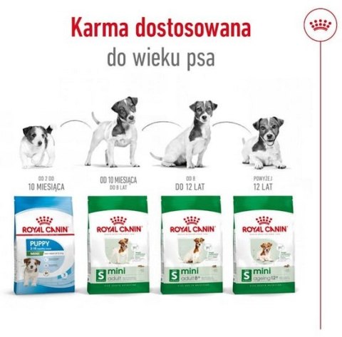 Royal Canin Mini Adult 8+ karma sucha dla psów starszych od 8 do 12 roku życia, ras małych 2kg
